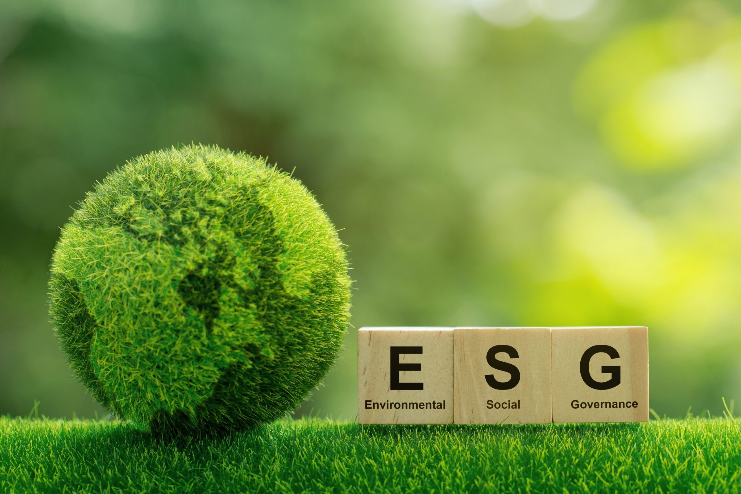 You are currently viewing Investimentos ESG: Como investir de forma sustentável e socialmente responsável
