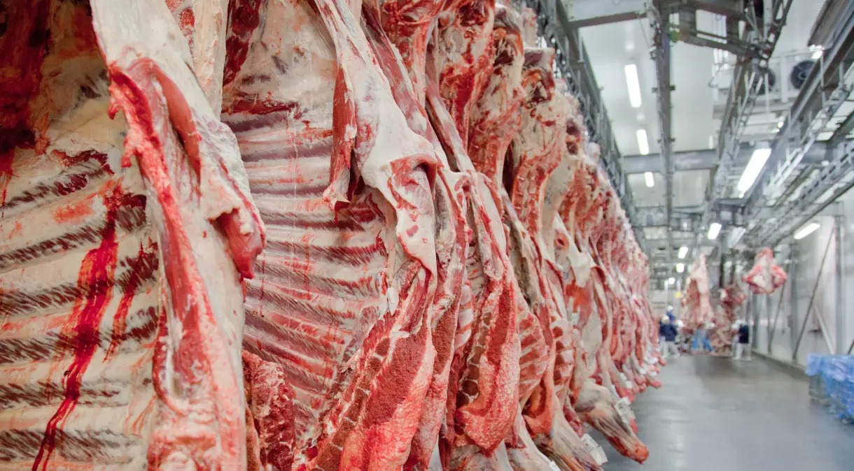 You are currently viewing Exportação de carne bovina do Brasil alcança novos recordes impulsionada pelos Estados Unidos